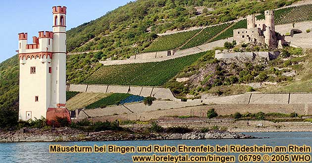 Museturm auf einer Rheininsel bei Bingen am Rhein und Ruine Ehrenfels